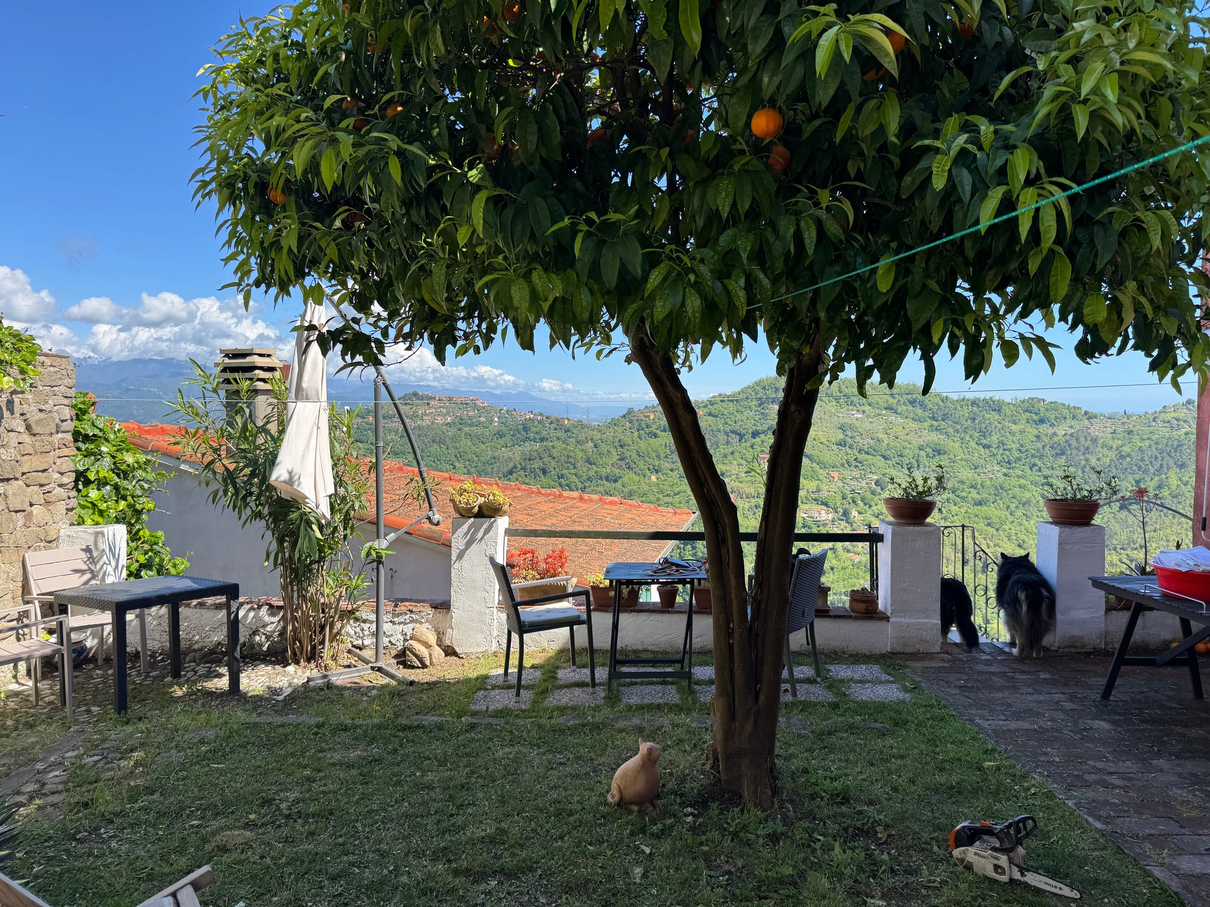 Corte Esterna Condivisa - Foto 3